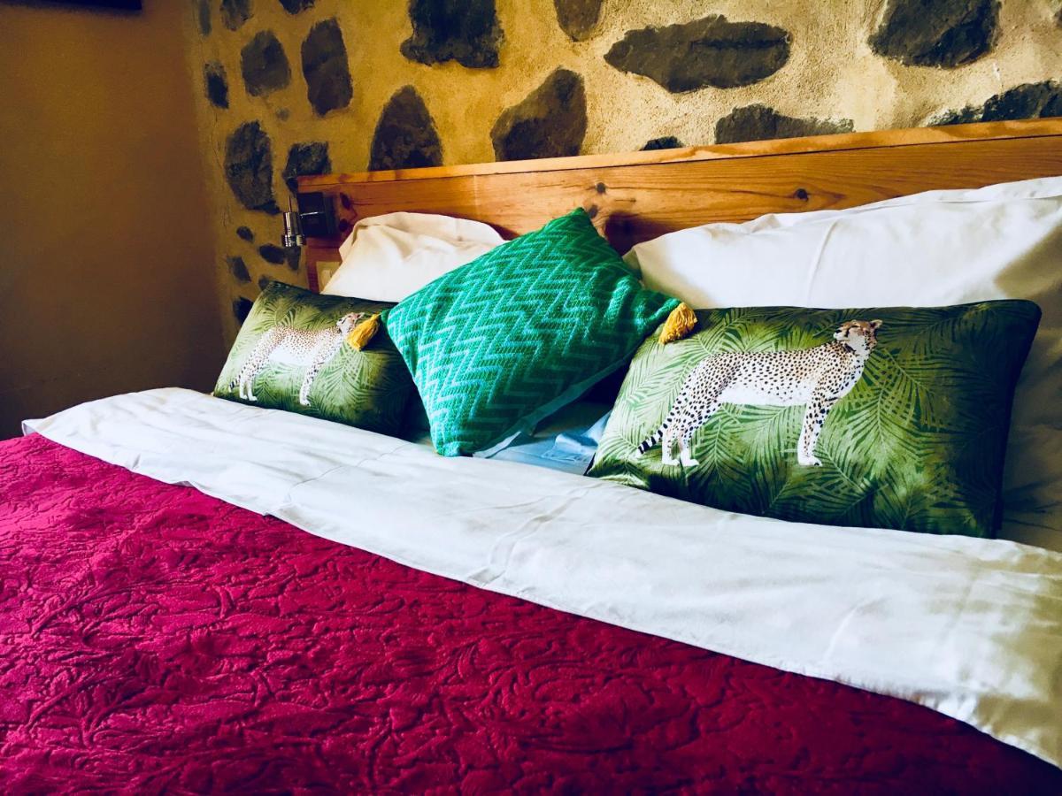 Chambre D'Hotes La Grange Des Ecrins Chabottes المظهر الخارجي الصورة