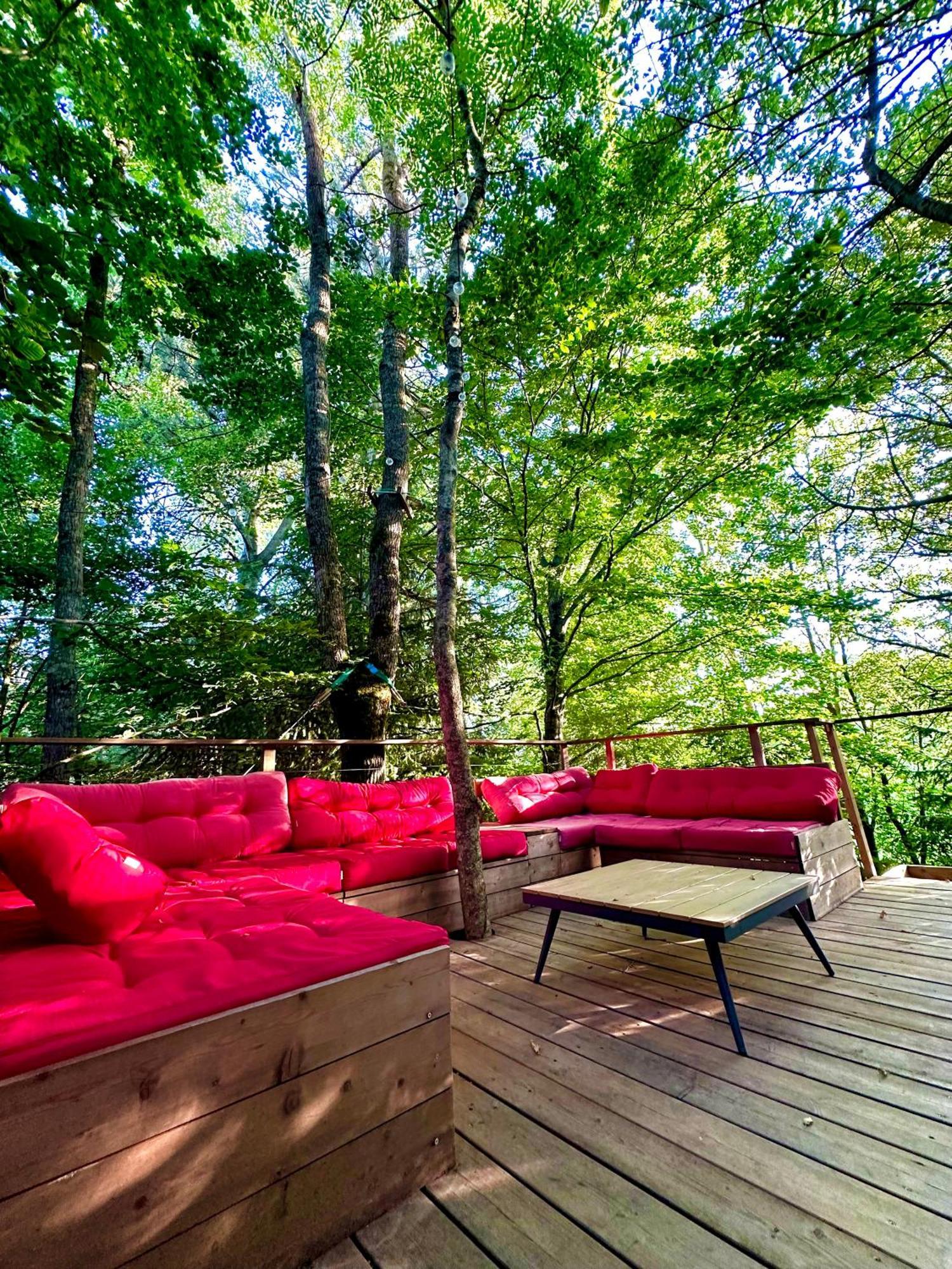 Chambre D'Hotes La Grange Des Ecrins Chabottes المظهر الخارجي الصورة